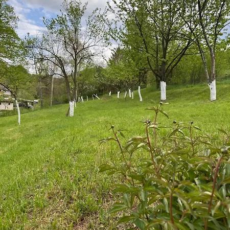 Amaya Sarajevo Vogošća