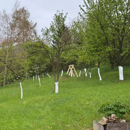 Amaya Sarajevo 度假居