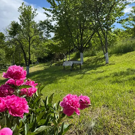 Amaya Sarajevo Semesterbostad