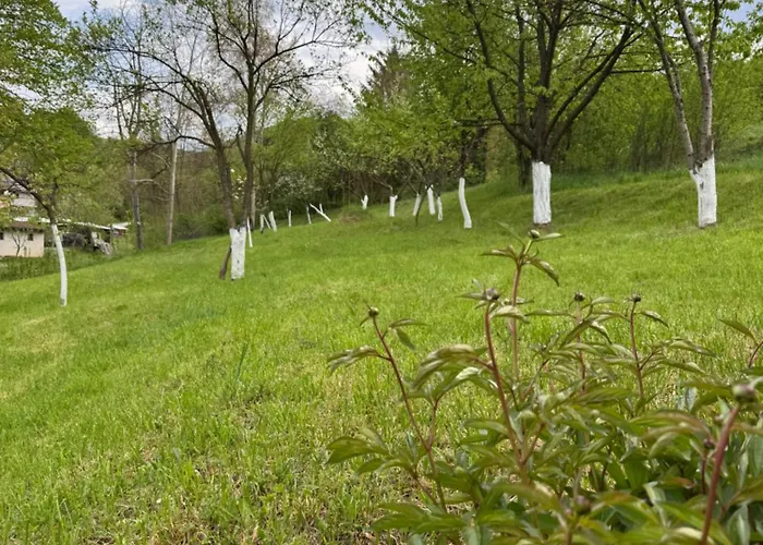 Amaya Sarajevo Vogošća