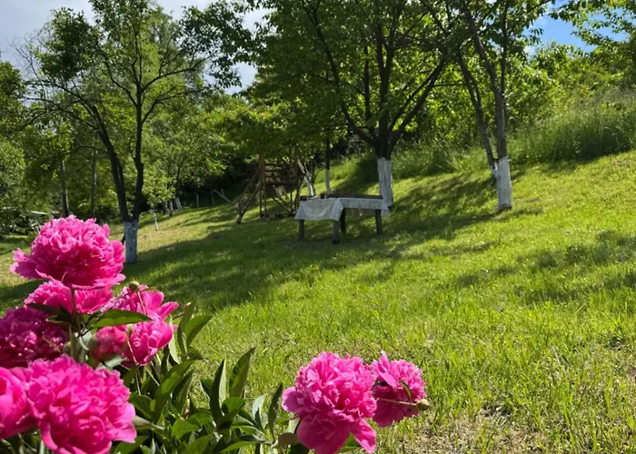 Amaya Sarajevo 度假居